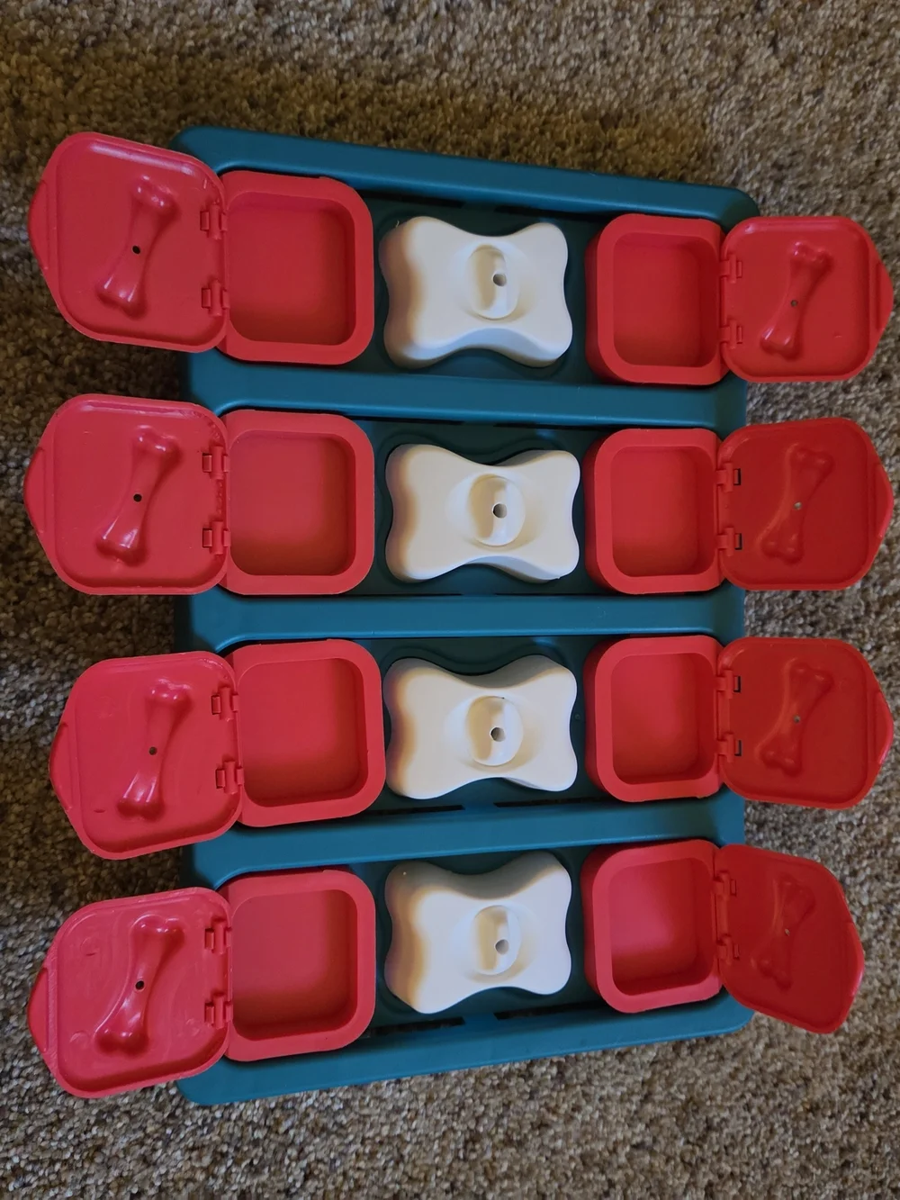 Interactive Dog Treat Puzzle Toy - Teal Tray with Red and White Pieces